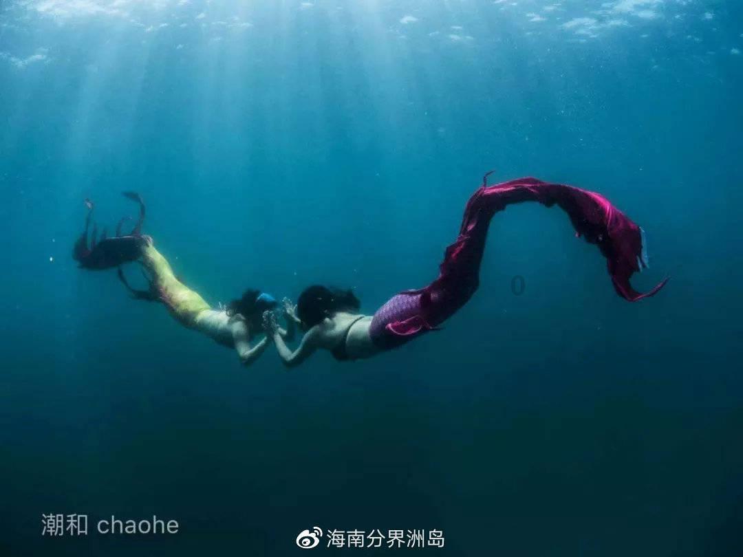 移动的靶心5无敌版